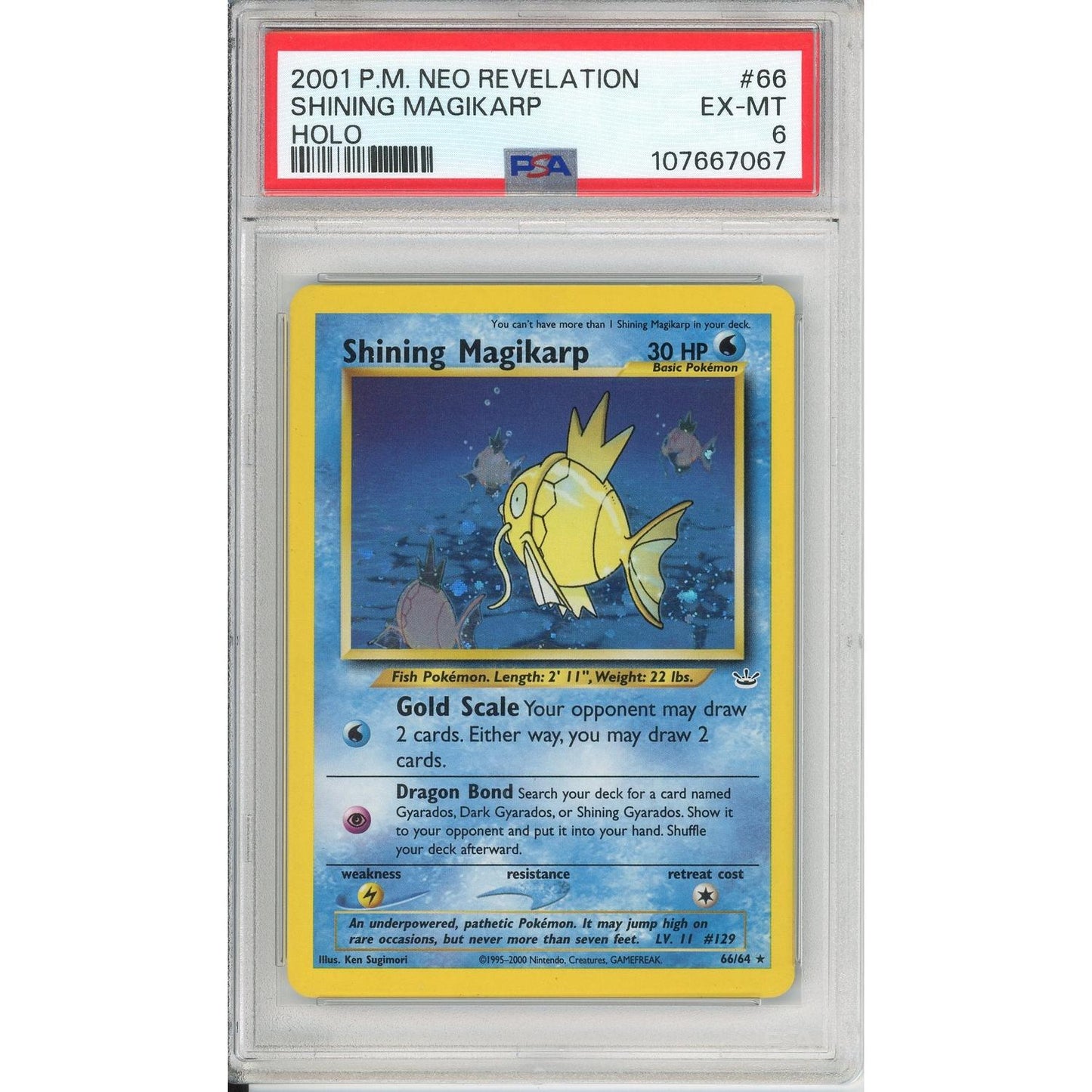 Pokemon Graded: Shining Magikarp 66/64 Neo Revelation (2001) Holo PSA 6